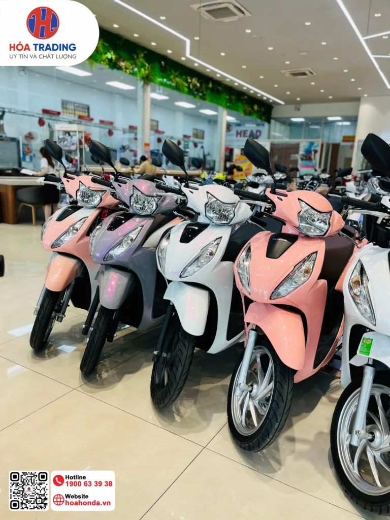 Vision hồng